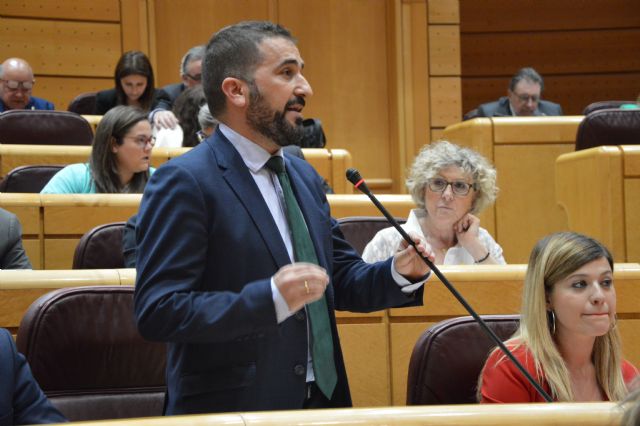 El PSOE reprocha a Catalá que la discriminación a la pareja de madres en la Región de Murcia es producto del sectarismo ideológico del Gobierno - 1, Foto 1