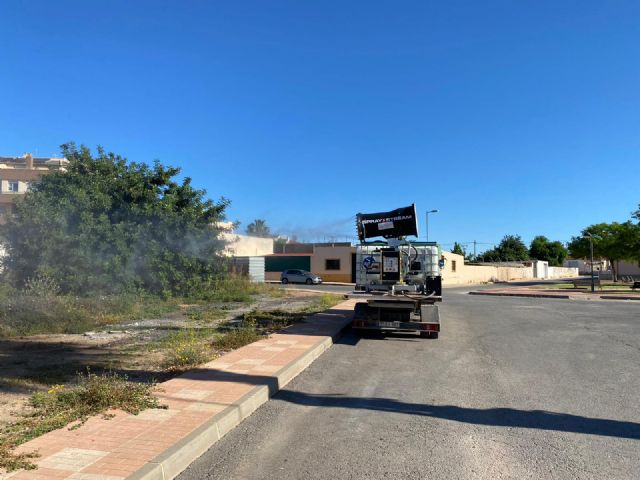 El Ayuntamiento recuerda la importancia de la colaboración ciudadana en la lucha contra el mosquito tigre - 2, Foto 2