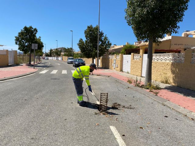 El Ayuntamiento recuerda la importancia de la colaboración ciudadana en la lucha contra el mosquito tigre - 3, Foto 3