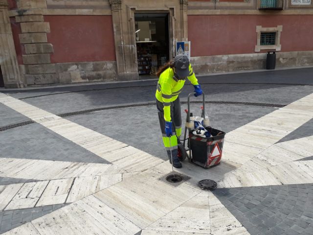 El Ayuntamiento recuerda la importancia de la colaboración ciudadana en la lucha contra el mosquito tigre - 4, Foto 4