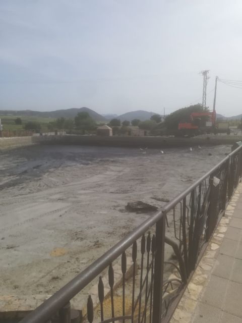 El Ayuntamiento de Lorca pone en marcha labores de limpieza y mantenimiento en el estanque de Doña Inés - 1, Foto 1