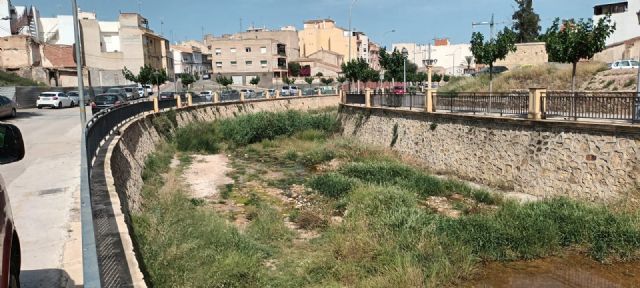 El PP insta al alcalde que lleve a cabo la inmediata fumigación contra insectos en las zonas afectadas del casco urbano y pedanías, Foto 6