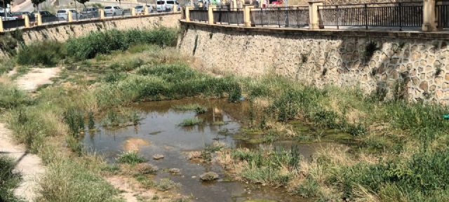 El PP insta al alcalde que lleve a cabo la inmediata fumigación contra insectos en las zonas afectadas del casco urbano y pedanías, Foto 7