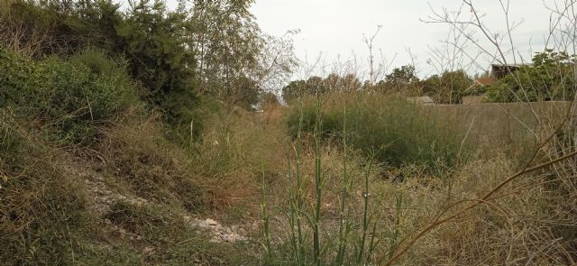 El PP traslada la inquietud vecinal por el pésimo estado de las ramblas lorquinas ante la alerta por la llegada de una DANA con fuertes lluvias - 3, Foto 3