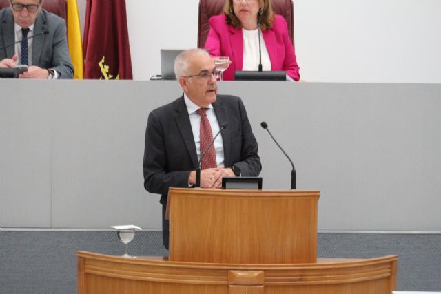 Martínez Baños: Hoy ha quedado claro que el único que apuesta por ayudar a las familias a instalar placas solares y a la compra de coches eléctricos es el Partido Socialista - 1, Foto 1
