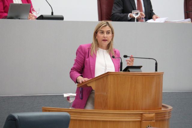 Carmina Fernández: El PP es exactamente lo mismo que Vox, ha comprado sus postulados machistas y viene a defenderlos a la Asamblea - 1, Foto 1