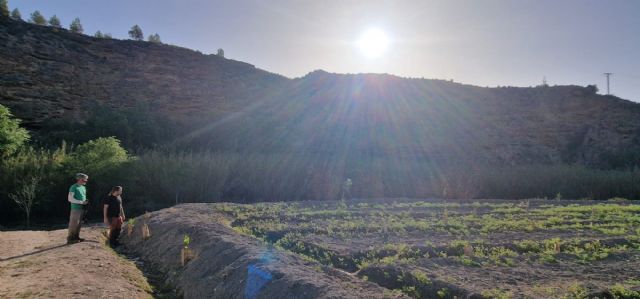 ANSE transforma la finca La Huertecica en un frondoso bosque de ribera - 2, Foto 2