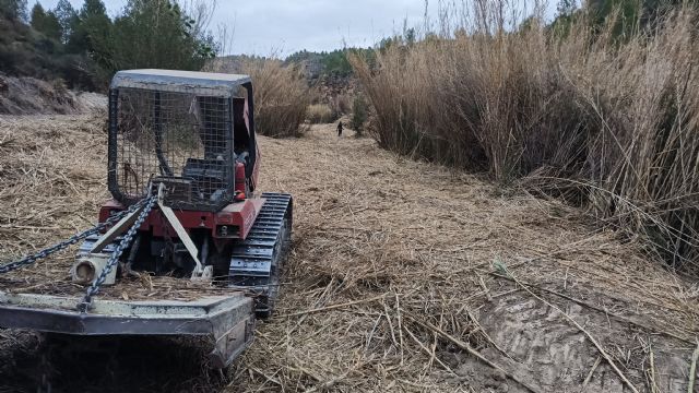 ANSE transforma la finca La Huertecica en un frondoso bosque de ribera - 4, Foto 4