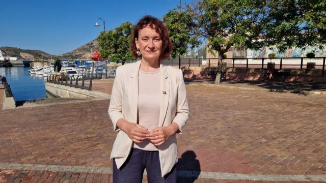 Podemos propone declarar el puerto de Cartagena como ´puerto de paz´ para impedir el tránsito de armas a Israel - 1, Foto 1