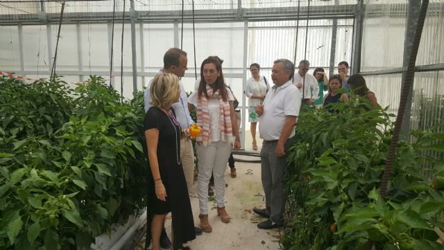 El Cifea de Torre Pacheco desarrolla proyectos de investigación y formación con centros europeos - 1, Foto 1