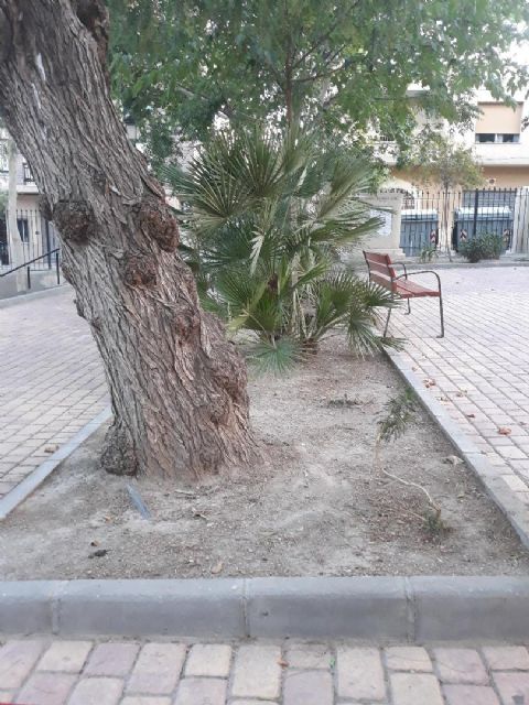 IU lamenta el mal estado de los parques y jardines de Lorca mientras la empresa concesionaria cobrará un 83% más - 5, Foto 5