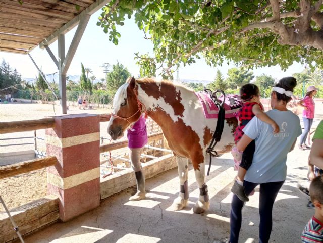 Terapia con caballos para estimular el desarrollo infantil, Foto 7