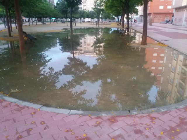 Cs pedirá en el Pleno un diagnóstico de la situación de los parques y jardines del municipio para darles un lavado de cara - 3, Foto 3