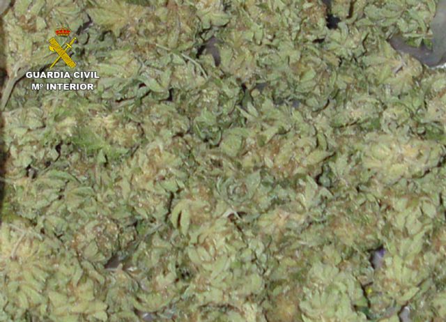 La Guardia Civil desmantela en Caravaca un punto de venta de marihuana regentado por un clan familiar - 2, Foto 2
