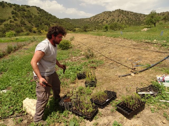 El Grupo Operativo Setos de la Región de Murcia finalista europeo de los “Premios de Inspiración Rural 2020” - 2, Foto 2
