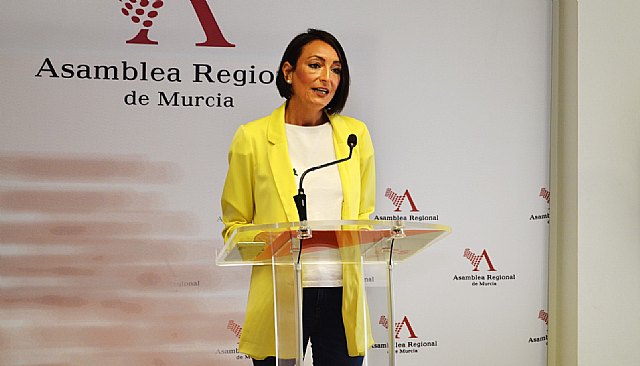 Ciudadanos propone la creación de un plan regional de infraestructuras para reactivar la economía social - 1, Foto 1