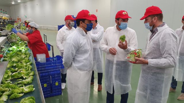 Antonio Luengo dice que el cierre del Trasvase supondría la desaparición del 80 por ciento de la agricultura del Campo de Cartagena - 1, Foto 1