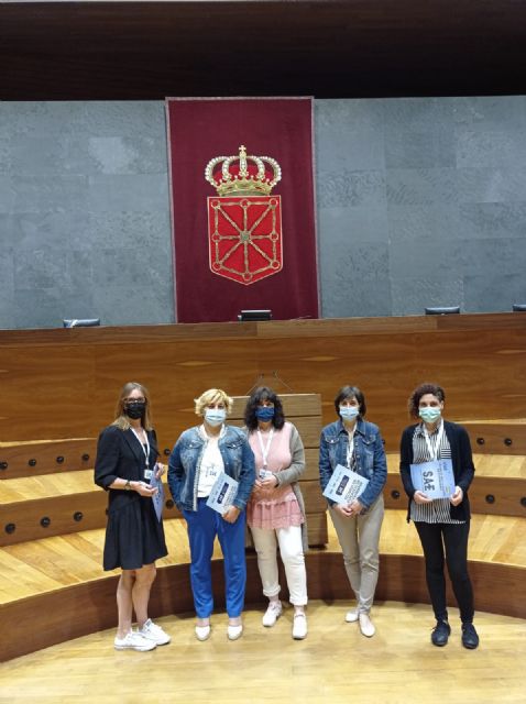 SAE pide a los grupos parlamentarios que hagan cumplir sus encomiendas al gobierno de Navarra - 1, Foto 1