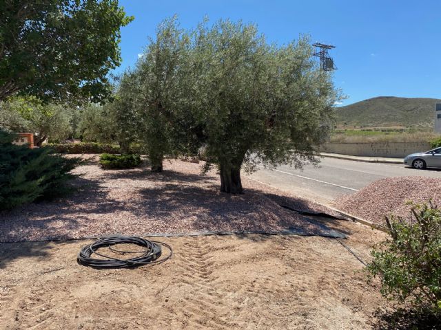 Acondicionamiento parterres Polígono Industrial Los Romerales - 2, Foto 2