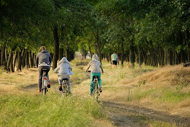 Más de la mitad de las familias españolas practican algún deporte juntos - 1, Foto 1