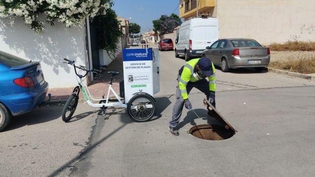 Tratamientos desinsectación en el alcantarillado de Torre Pacheco - 2, Foto 2
