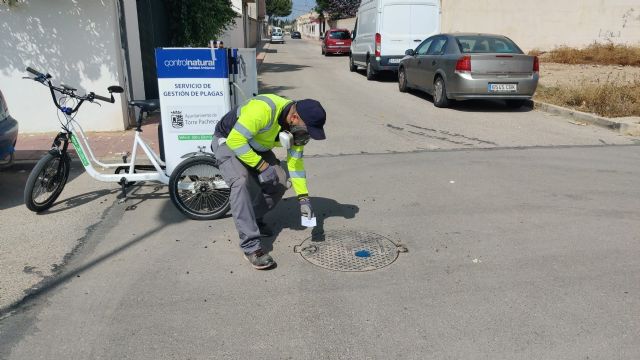 Tratamientos desinsectación en el alcantarillado de Torre Pacheco - 5, Foto 5