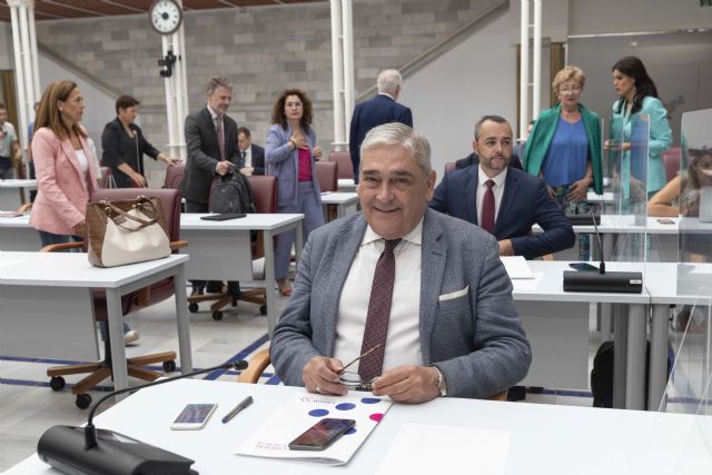 El grupo parlamentario liberal reivindica el trabajo de la Consejería de LGTBI por la igualdad y la tolerancia - 1, Foto 1