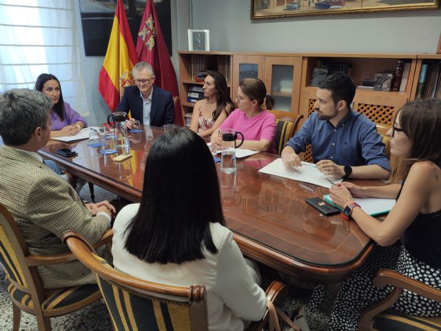 IU-Verdes considera insuficientes las explicaciones del consejero de Salud - 1, Foto 1