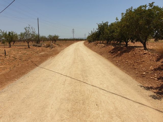 MC insta al Gobierno local a elaborar un proyecto de caminos rurales para Cartagena - 2, Foto 2