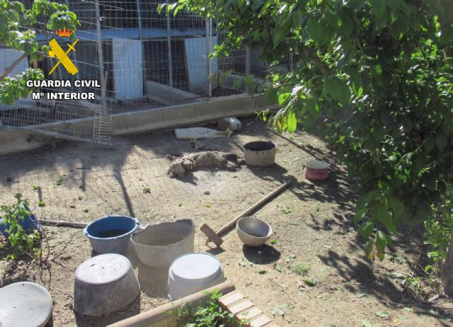 La Guardia Civil investiga a un vecino de Cieza por maltrato animal - 2, Foto 2