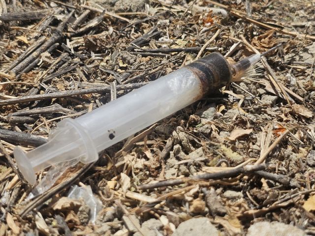 El PSOE de Lorca denuncia que Fulgencio Gil someta a un “abandono total” a los vecinos que “conviven con jeringuillas usadas junto al Campus Universitario” - 2, Foto 2