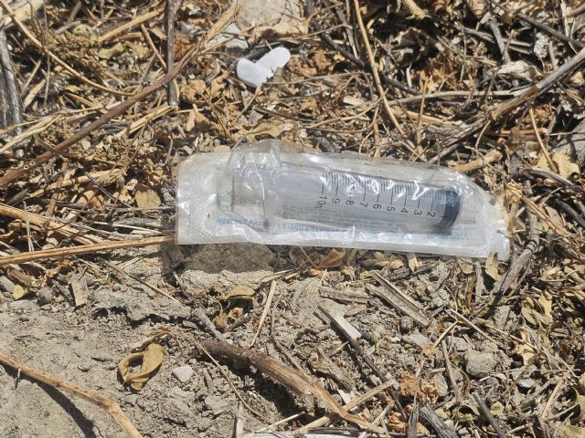 El PSOE de Lorca denuncia que Fulgencio Gil someta a un “abandono total” a los vecinos que “conviven con jeringuillas usadas junto al Campus Universitario” - 4, Foto 4