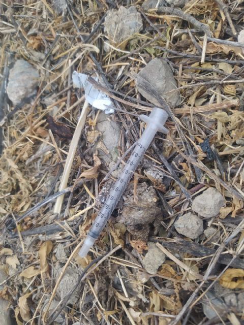 El PSOE de Lorca denuncia que Fulgencio Gil someta a un “abandono total” a los vecinos que “conviven con jeringuillas usadas junto al Campus Universitario” - 5, Foto 5