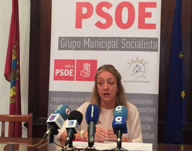 El PSOE de Lorca reclama libros gratis para la enseñanza obligatoria - 1, Foto 1