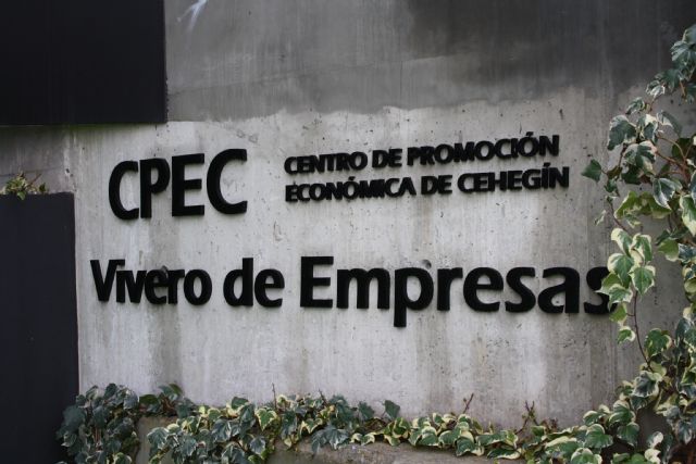 Editan un video con los principales servicios del Centro de Promoción Económica de Cehegín - 1, Foto 1