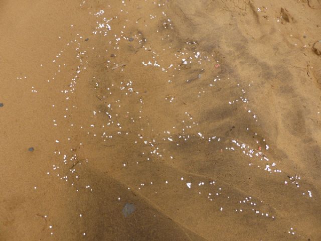 Denuncian la pasividad de la administración ante la contaminación en Calblanque - 1, Foto 1