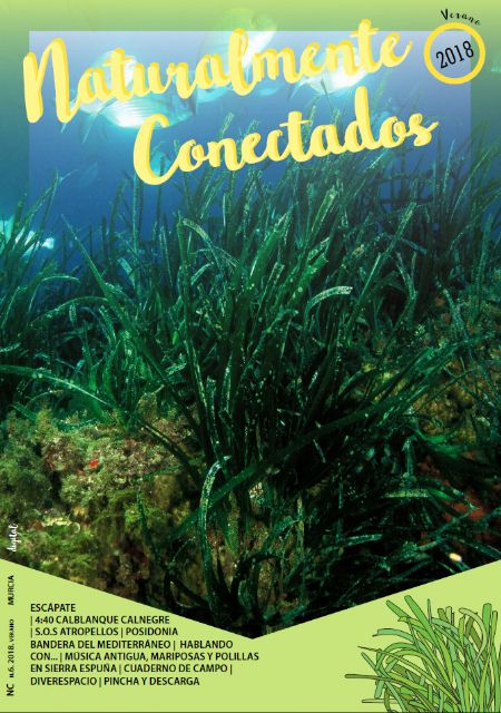 El número de verano de la revista 'Naturalmente conectados' muestra el valor de la posidonia oceánica y la batería de Castillitos - 1, Foto 1