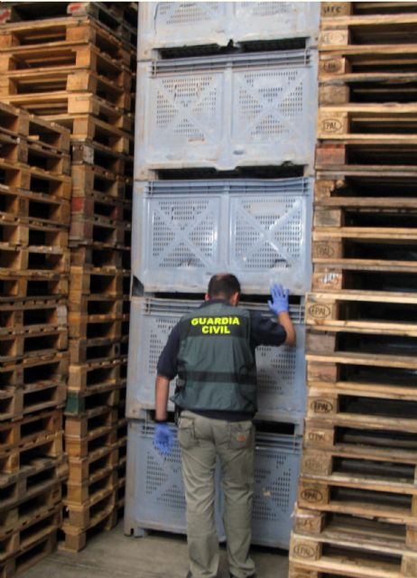 La Guardia Civil detiene a un padre y a su hijo por el hurto continuado de materiales a una empresa de San Javier - 3, Foto 3