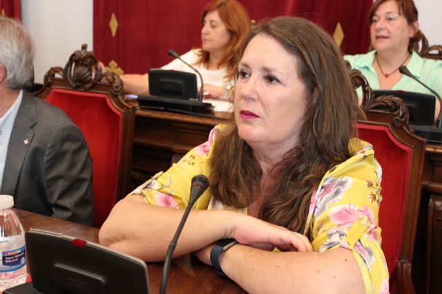 MC reclamará la apertura gratuita, cuatro días al mes, del Teatro Romano - 1, Foto 1