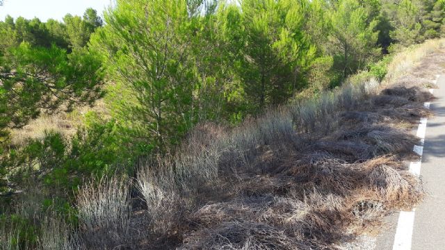 El PP advierte al alcalde del PSOE que, si en 72 horas no retira los montones de maleza acumulados en carreteras de zonas ZEPA, informará al Seprona - 3, Foto 3