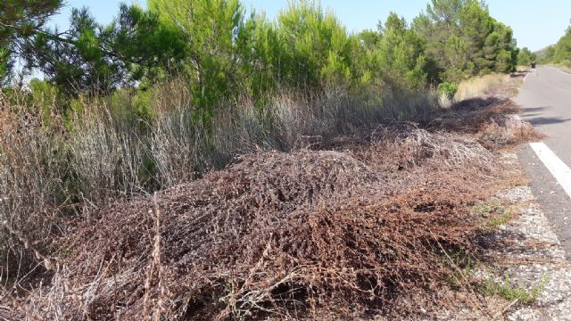 El PP advierte al alcalde del PSOE que, si en 72 horas no retira los montones de maleza acumulados en carreteras de zonas ZEPA, informará al Seprona - 4, Foto 4