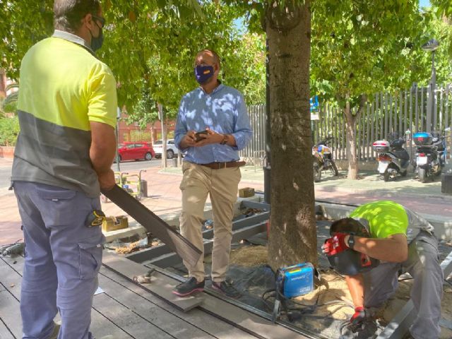 La avenida de la Fama cuenta con 60 zonas ajardinadas que compatibilizan su uso con el mercado de la ciudad - 1, Foto 1