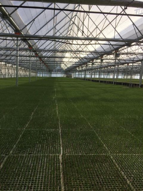 AITECA, nueva asociación en FREMM, defiende en el contexto del Proyecto de Ley del Mar Menor la oportunidad de posicionar a la agricultura protegida como marca propia de la Región de Murcia - 1, Foto 1