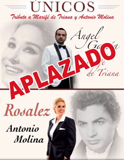 Se aplazan todos los actos previstos para los próximos días hasta que mejore la situación sanitaria - 4, Foto 4