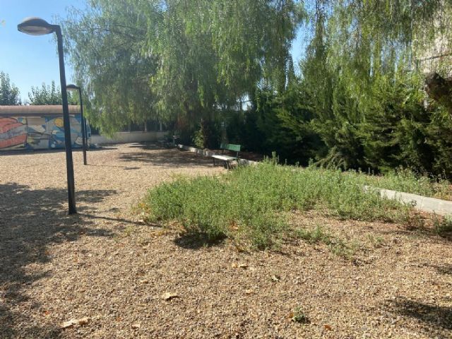 El PP propone la mejora del acceso a los barrios de La Estación, Olímpico y Las Peras por el avanzado deterioro y hundimiento de la carretera principal, Foto 6