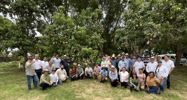 Exitoso y Brillante Taller de Extensión de Mangos de Exportación de Calidad en el Norte de Sinaloa (México) - 1, Foto 1