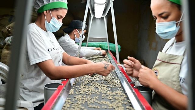 DFRNT: una marca de café espa&ntilde;ola independiente encuentra la fórmula del éxito con Temu - 2, Foto 2