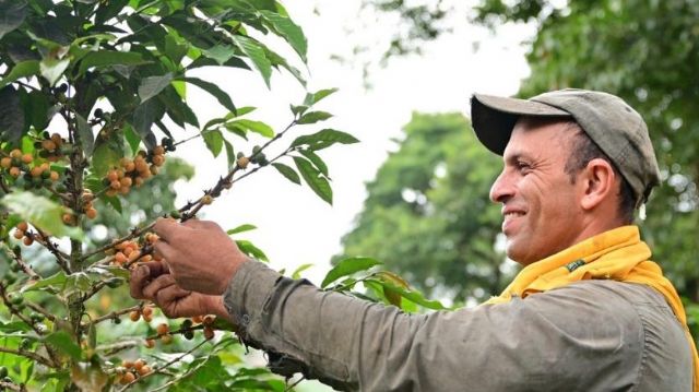DFRNT: una marca de café espa&ntilde;ola independiente encuentra la fórmula del éxito con Temu - 3, Foto 3