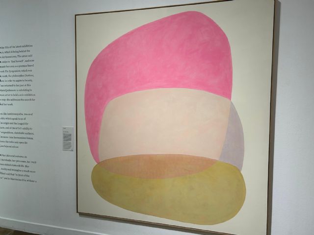 La exposición de la murciana Maru Quiñonero 'La Extranjera' catalogada como una de las mejores del país - 1, Foto 1