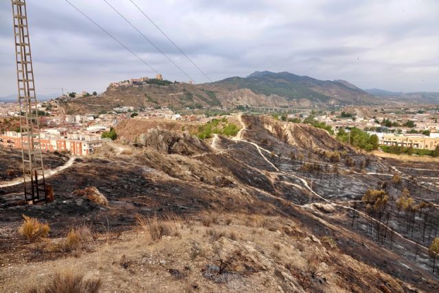 II pide explicaciones sobre el origen del incendio en las proximidades de “la Comarca” - 2, Foto 2